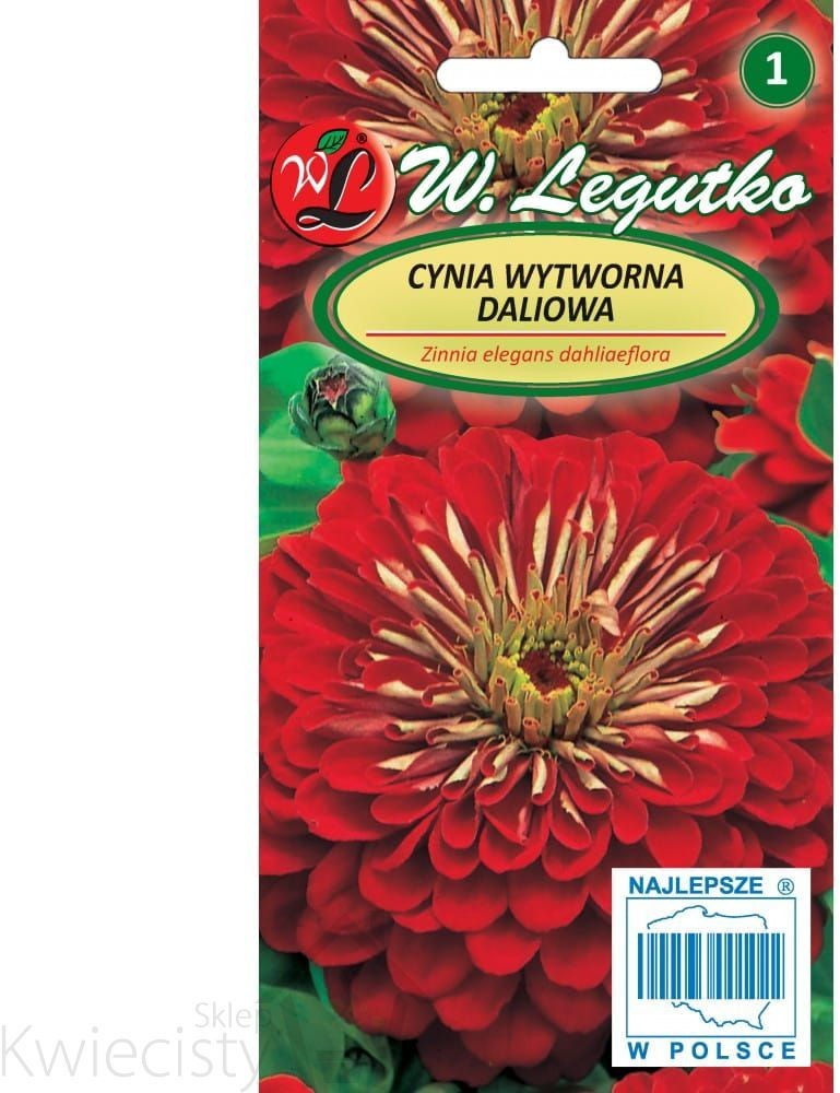 Legutko sp. z o.o Nasiona Cynia daliowa Scarlet Flame - czerwona, 1g