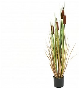 Europalms EUROPALMS Sitowie / tatarak, sztuczna roślina, 150 cm 82600115