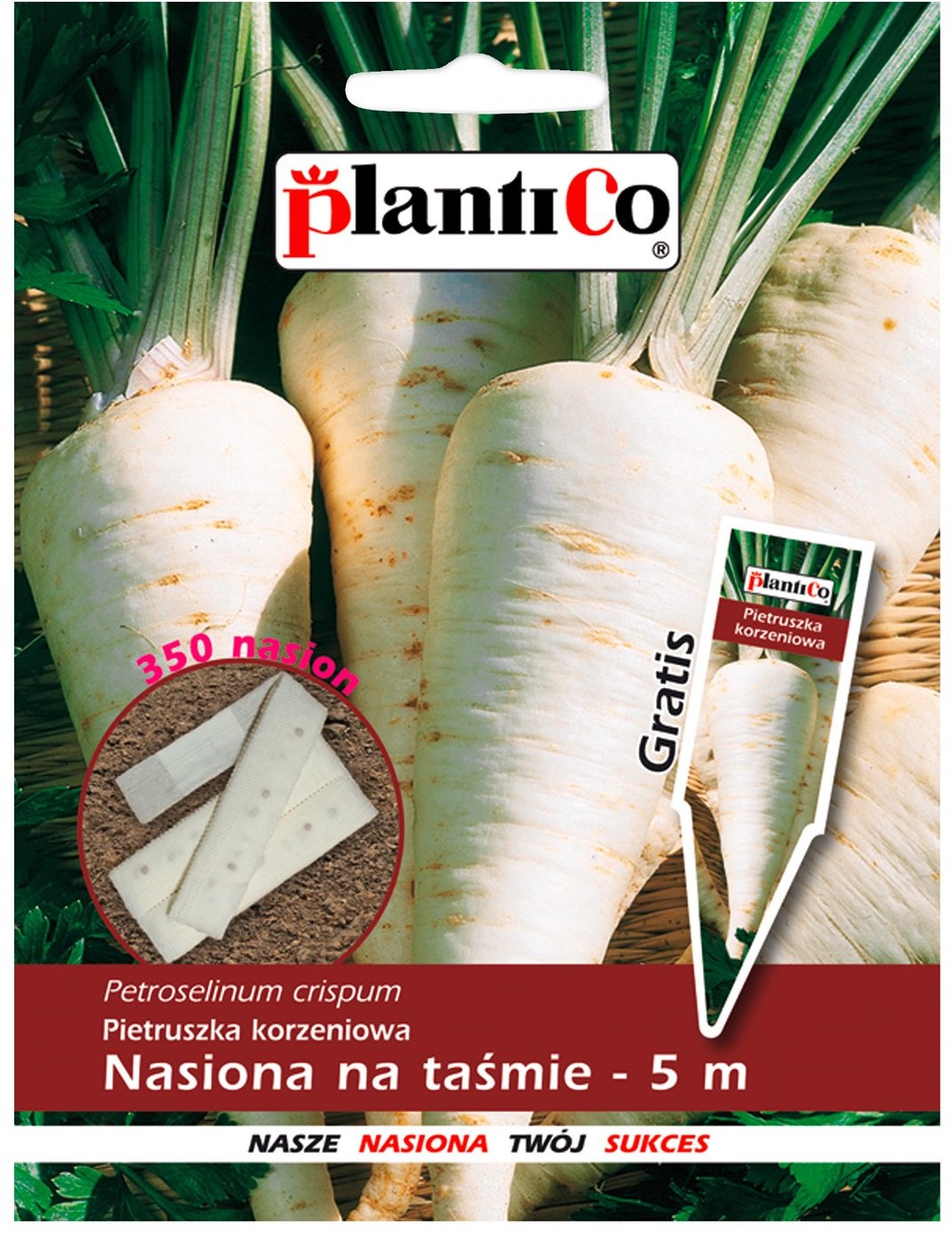 Plantico Pietruszka - nasiona na taśmie 5m