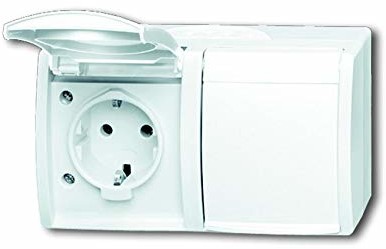 Busch-Jaeger gniazdko elektryczne z pokrywą na zawiasach, waga z prawa, 2 kieszeń, 20/2EW-54 20/2EW-54