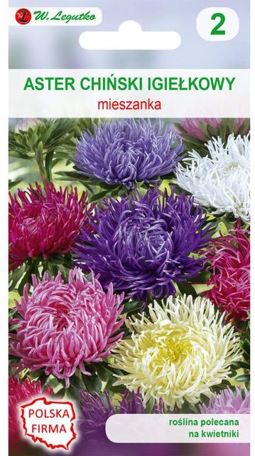 Legutko Aster chiński igiełkowy MIESZANKA