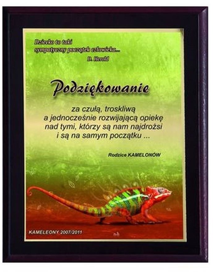 UPOMINKARNIA Dyplom Z Tworzywa Sztucznego Z Laminatem Colour Touch victoriasport-HG2657/G-0