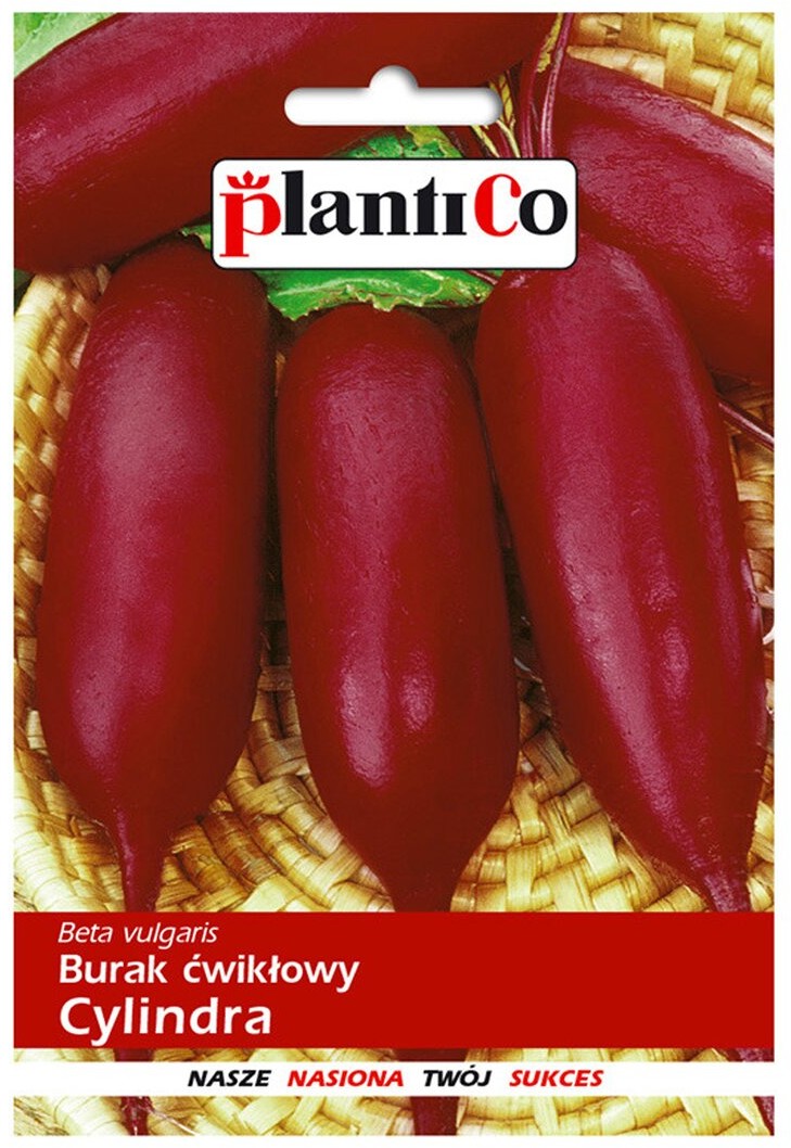 Plantico Burak ćwikłowy Cylindra 10g