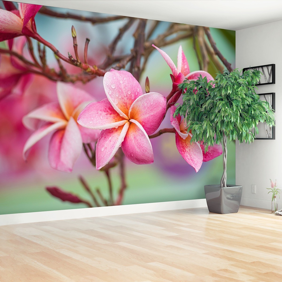 Fototapeta Frangipani Różowy