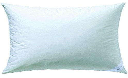 Billerbeck poduszka S20 Włókien  różne rozmiary i warianty 5455810001