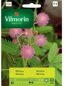 Opinie o Nasiona mimoza wstydliwa (Mimosa Pudica)