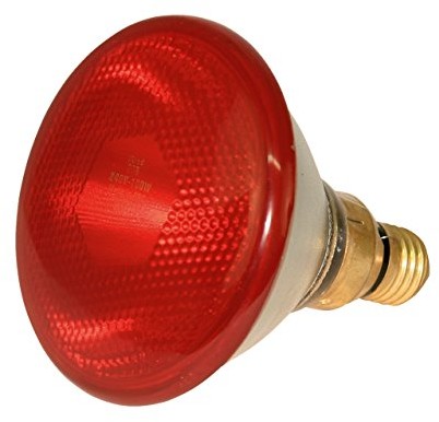 Kerbl KERBL 22246 lampa energooszczędna 100 W podczerwieni, czerwony 3047602