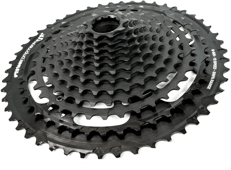 e*thirteen e*thirteen TRS Plus Kaseta rowerowa 12 rz., black 9-46T 2021 Kasety FW2TPA-103