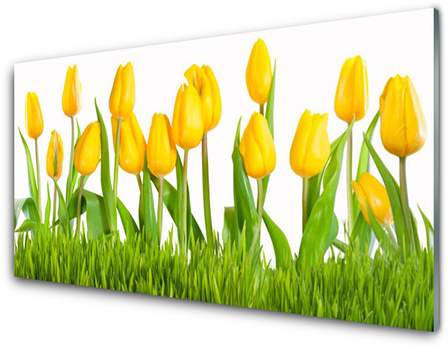 Tulup.pl Panel Kuchenny Tulipany Na Ścianę 120x60cm