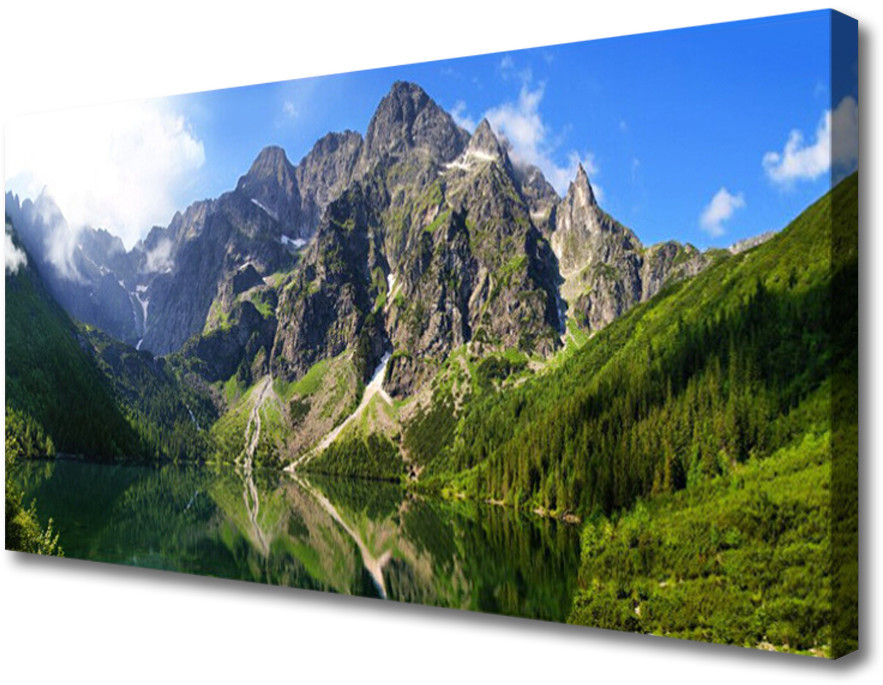 PL Tulup Obraz Canvas Tatry Góry Morskie Oko Las 140x70cm