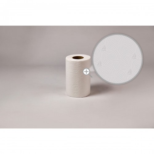 MISTRAL Ręcznik celuloza 19cm 50m 2w (12sztuk) RC50/2 MINI MISTRAL