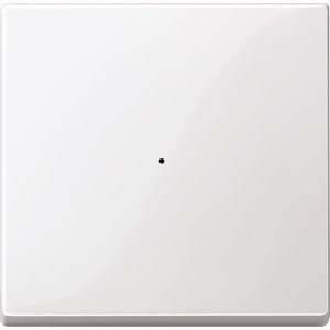Merten przełącznik kołyskowy zapewnia przycisk Module (1-krotnie, system M, biel polarna połyskująca, meg5210 0319 MEG5210-0319