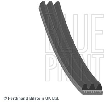 BLUE PRINT Pasek klinowy wielorowkowy BLUE PRINT AD03R630