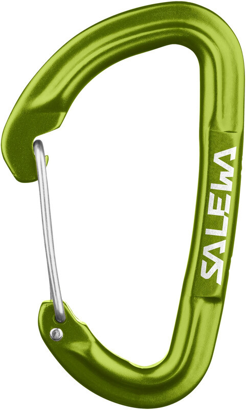 Salewa Hot G3 Carabiner Wire, fluo green 2021 Karabinki niezakręcane 00-0000001723-5810-UNI
