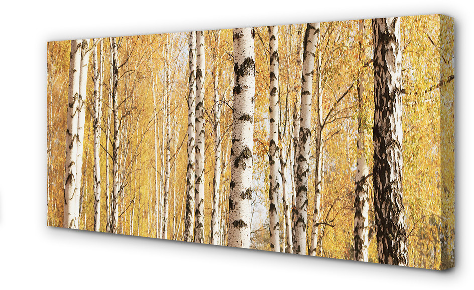 PL Tulup Obrazy na płótnie Jesień drzewa 120x60cm