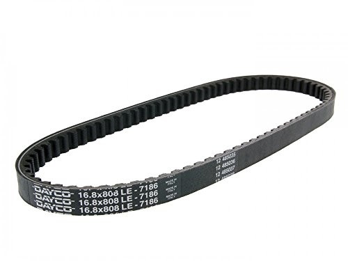 Dayco 7186 pasek klinowy wielorowkowy 7186