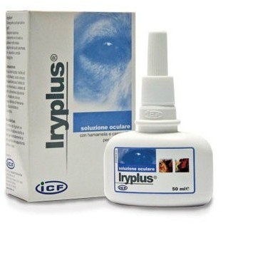 Geulincx IRYPLUS 50 ML