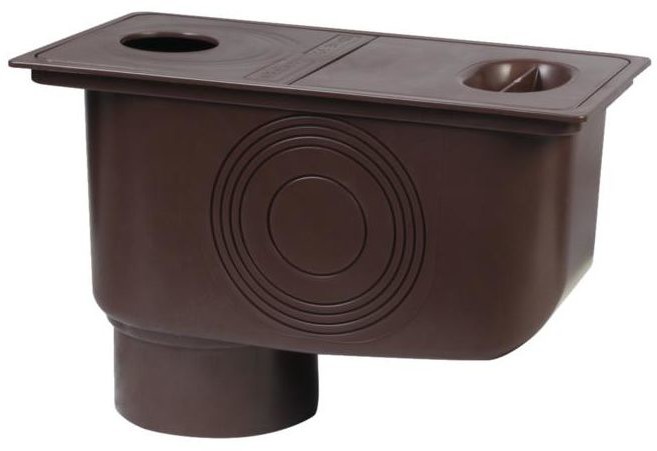 Osadnik rynnowy brązowy