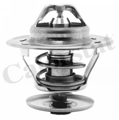 CALORSTAT Termostat, środek chłodzący CALORSTAT TH1439.80J