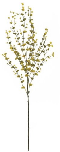Europalms Euro Palms 82505622 eucalyptusz weig 110 cm, żółty/zielony 82505622