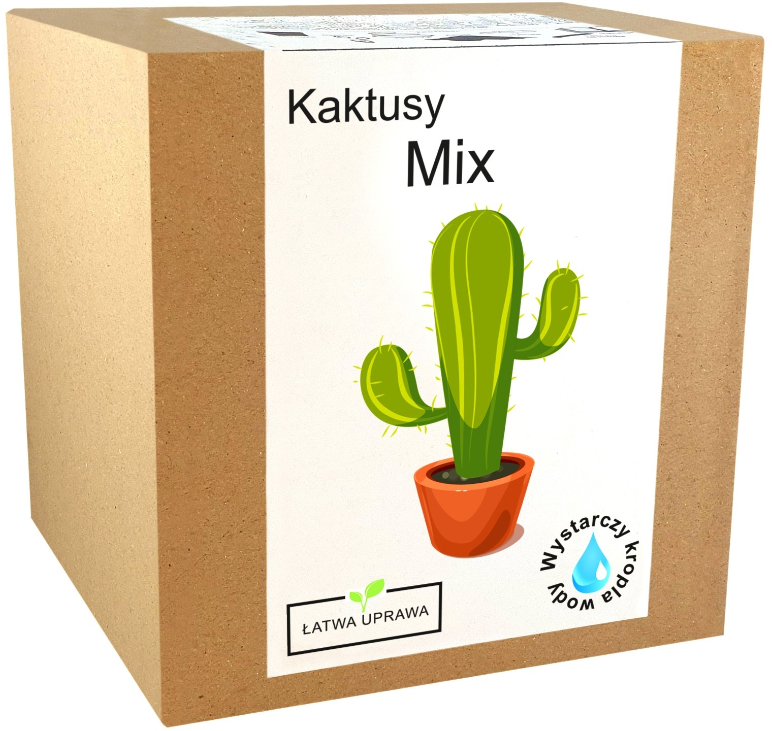 Zestaw do uprawy Kaktusy MIX kaktus sukulenty