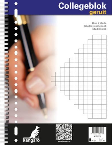 NoName zeszyt w kratkę strona A4 papier biały 80 kartek