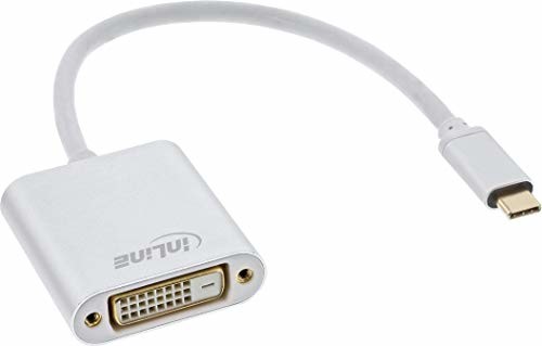 InLine 64103S USB Display konwerter, USB Typ-C wtyczka do gniazda DVI (DP Alt Mode), srebrny, 0.2m 64103S