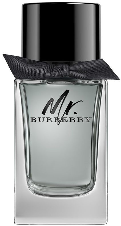 Burberry Mr Burberry EDT spray 100ml