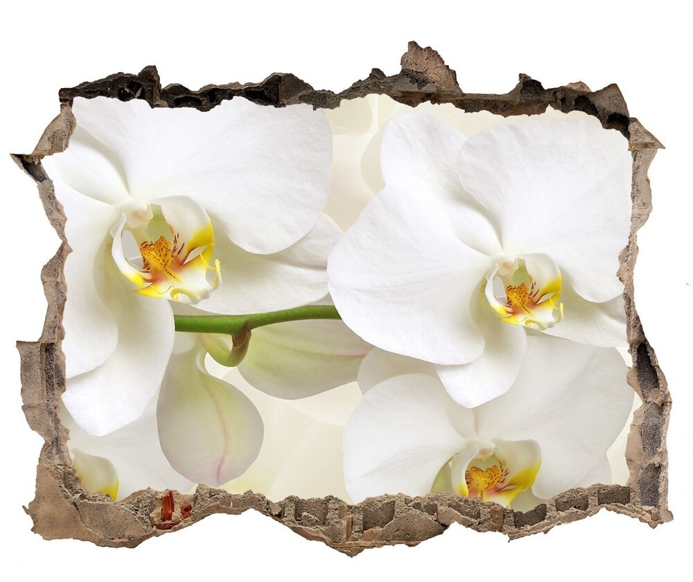 Wallmuralia.pl Samoprzylepna naklejka fototapeta Orchidea