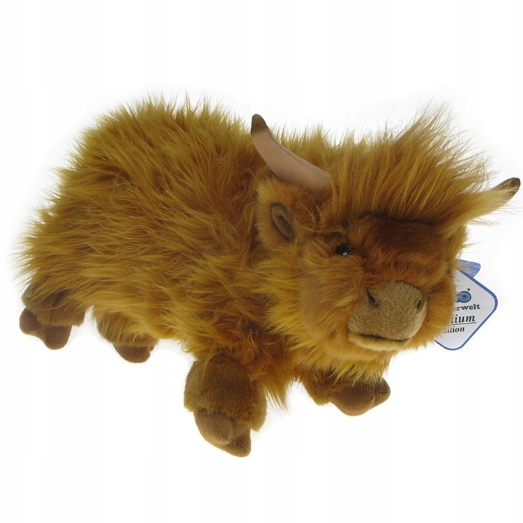 Zoo: maskotka Krowa Szkocka 35cm premium edition