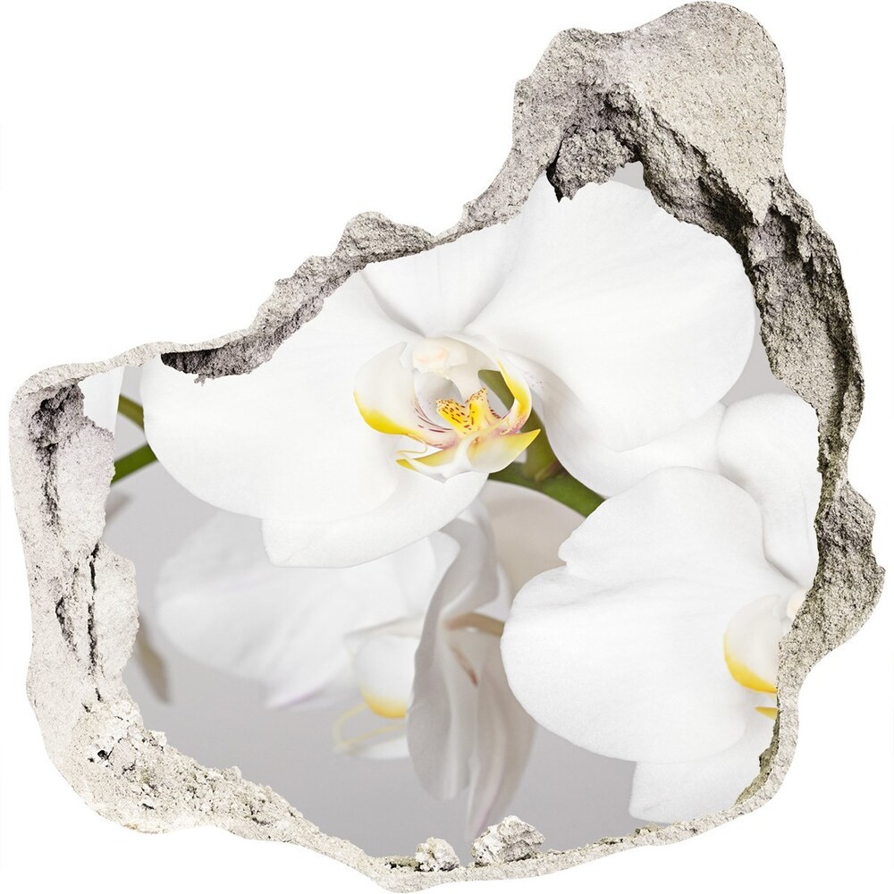 Wallmuralia.pl Samoprzylepna naklejka na ścianę Orchidea
