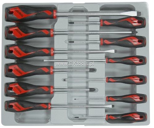 TENG TOOLS Zestaw wkrętaków płaskich i krzyżowych 178210100 MD912N