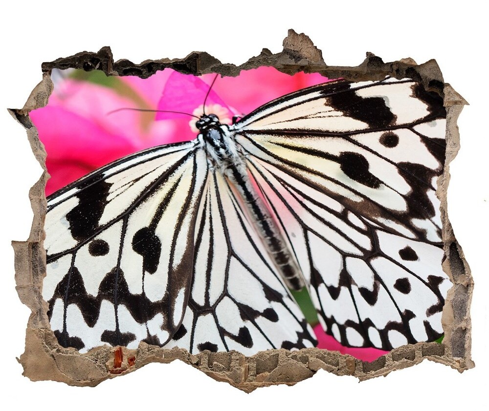 Wallmuralia.pl Dziura 3d fototapeta naklejka Motyl na kwiatku