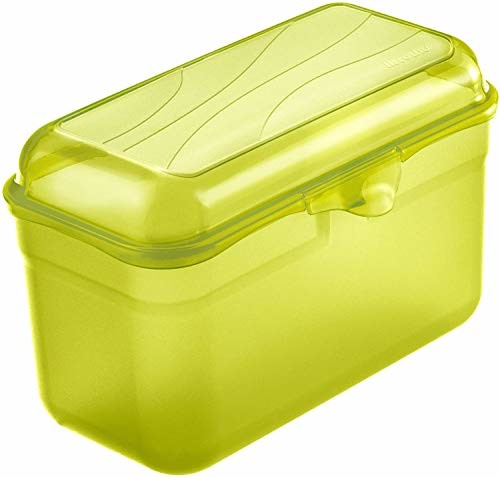 Rotho Rotho, Zabawne, pudełko na lunch 1,75 l, tworzywo sztuczne (PP) zielone BPA, 1,75 l (19,5 x 10,5 x 12,5 cm) ROTHO_1718805073