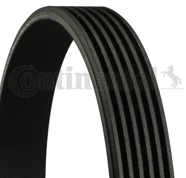 CONTINENTAL CTAM Pasek klinowy wielorowkowy CONTINENTAL CTAM 6PK1220 6PK1220
