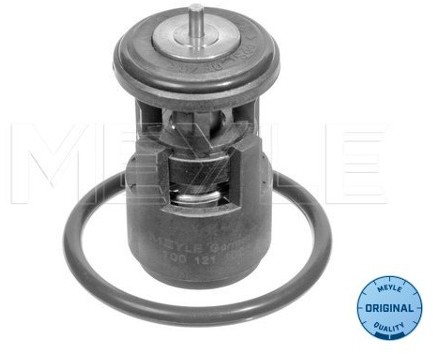 Wulf Gaertner Autoparts Termostat, środek chłodzący Wulf Gaertner Autoparts 100 121 1025