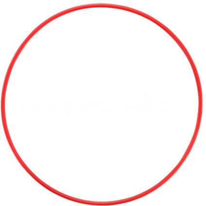 Olympus POL-058 O-ring do PT-058 (V6360530W000)