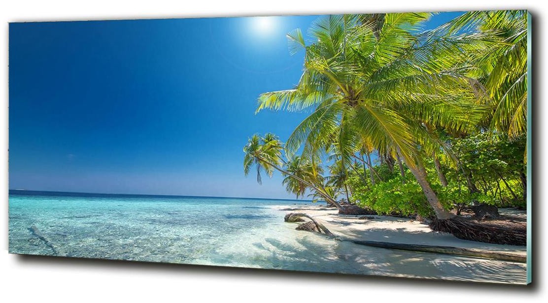 Foto obraz szkło hartowane Malediwy plaża