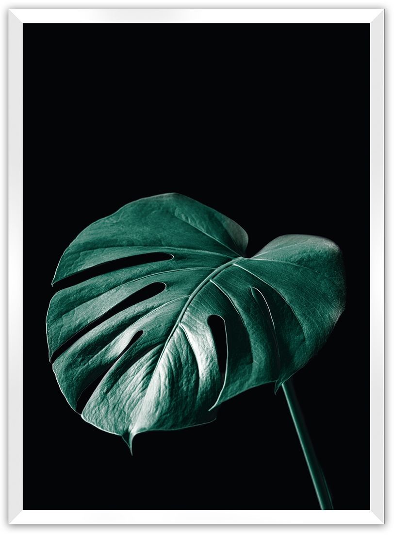 Dekoria Dekoria Plakat Dark Monstera 50 x 70 cm Ramka Biała 222F-000-21