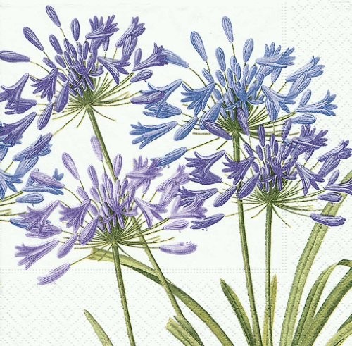 Caspari caspari 5370l serwetki papierowe dreilagig, 20 sztuk 33 x 33 cm, agapa roślina) 5370L