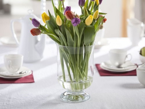 Altom WIATROŚWIECZNIK H-24CM (05-090/24) 5908214615322