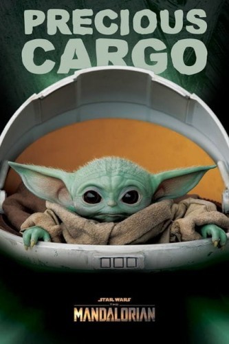 Pyramid Posters Star Wars: The Mandalorian Precious Cargo - plakat