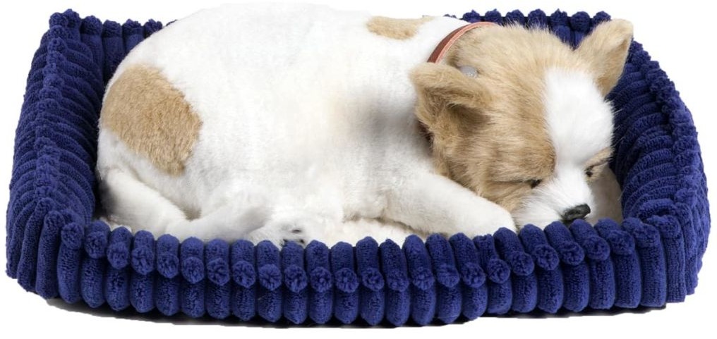 Plenty Gifts Perfect Petzzz Zabawkowy pies Chihuahua 96262 96262