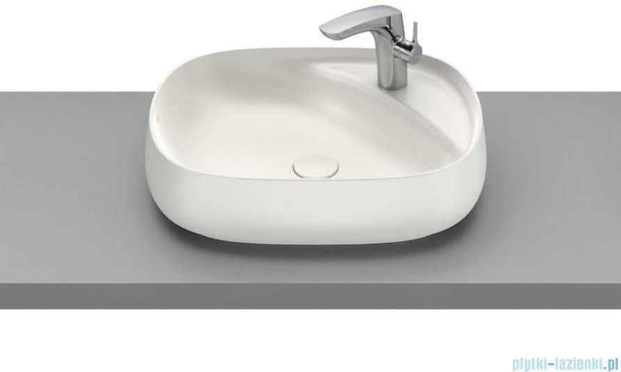 Roca ROCA TEMPO SZCZOTKA WC METALOWA STOJĄCA A817038001