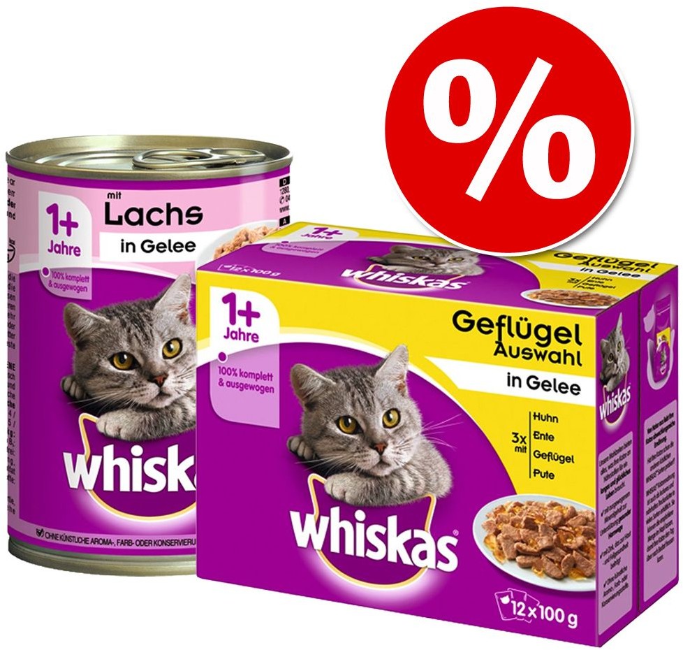 Whiskas Adult, 24 x 400 g - Łosoś w galarecie