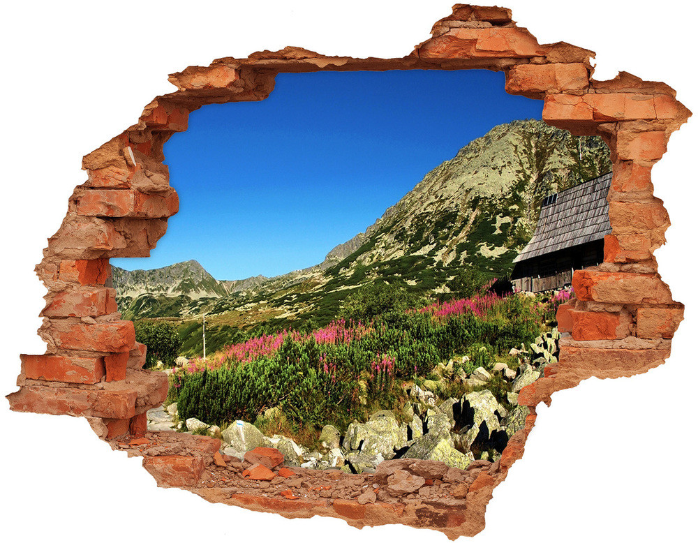 Wallmuralia.pl naklejka fototapeta 3D Bacówka w dolinie
