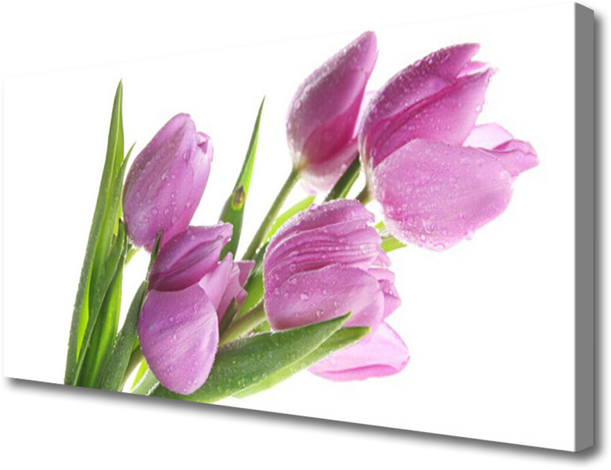 PL Tulup Obraz Canvas Tulipany Kwiaty Roślina 120x60cm