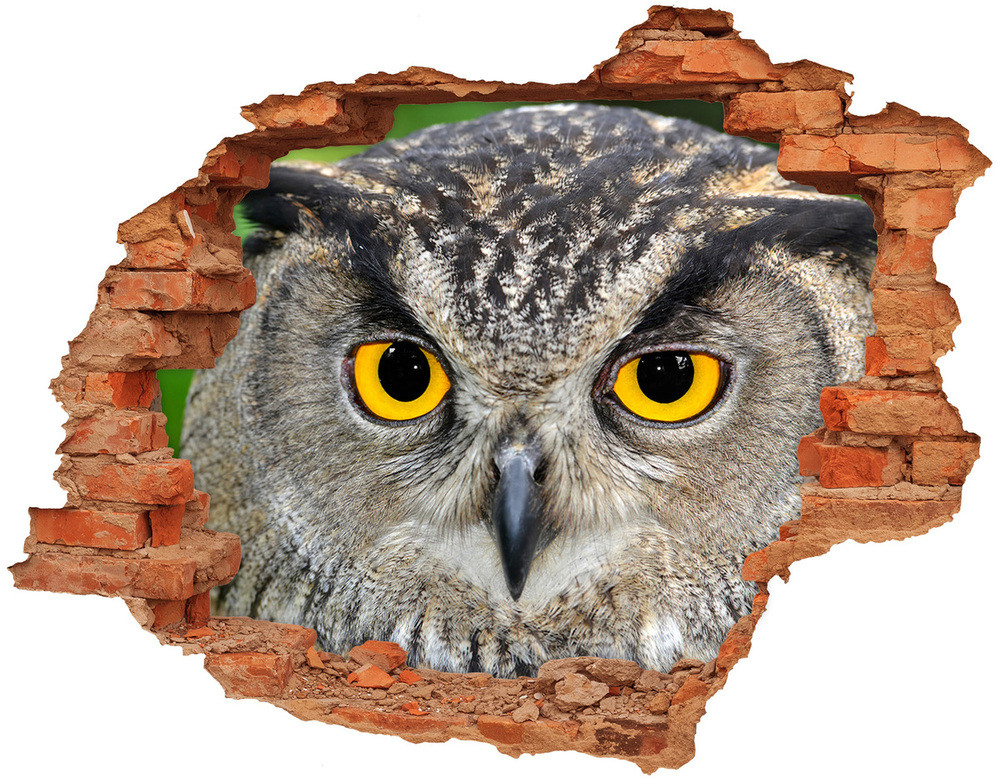 Wallmuralia.pl Dziura 3d fototapeta na ścianę naklejka Sowa