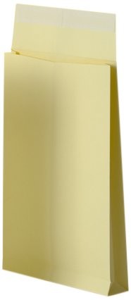 Bong GmbH Dno o wyglądzie pnia bong 14340 składana torba z zamkiem e4b (262 X 371 X 38 MM) z papieru typu kraft 170 G/M, pasek zaklejający z pokrywą, opakowanie = 125 sztuk, kremowy 14340