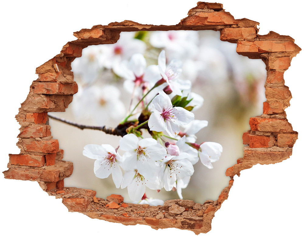Wallmuralia.pl Samoprzylepna naklejka na ścianę Kwiaty wiśni